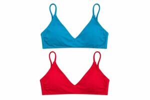 Quince NWT Italian V-Neck Bikini Top Bundle XS Teal and Cherry Red